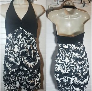 Nicole Miller Platinum Dress